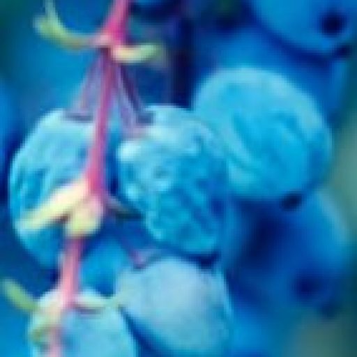 サイトアイコン